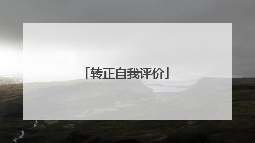转正自我评价