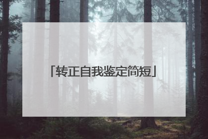 转正自我鉴定简短