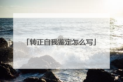 转正自我鉴定怎么写