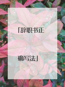 辞职书正确写法