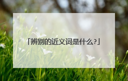 辨别的近义词是什么?