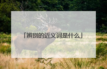 辨别的近义词是什么