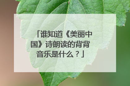 谁知道《美丽中国》诗朗读的背背音乐是什么?