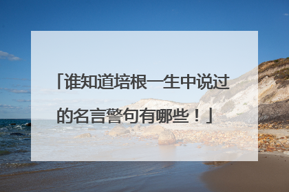 谁知道培根一生中说过的名言警句有哪些!