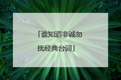 谁知道非诚勿扰经典台词