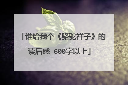 谁给我个《骆驼祥子》的读后感 600字以上