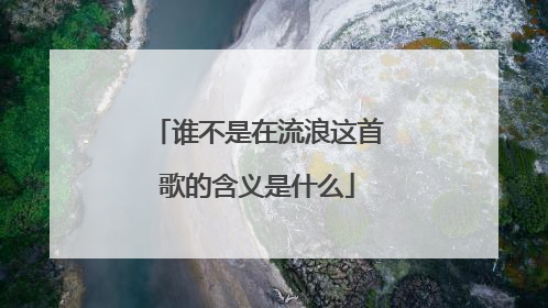 谁不是在流浪这首歌的含义是什么