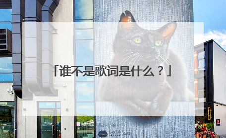谁不是歌词是什么?