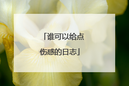 谁可以给点伤感的日志