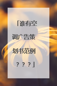 谁有空调广告策划书范例???