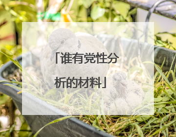 谁有党性分析的材料