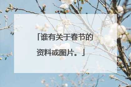 谁有关于春节的资料或图片。