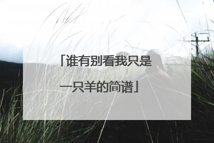 谁有别看我只是一只羊的简谱