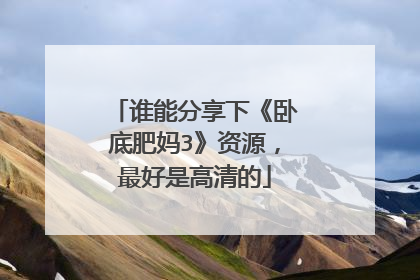 谁能分享下《卧底肥妈3》资源，最好是高清的
