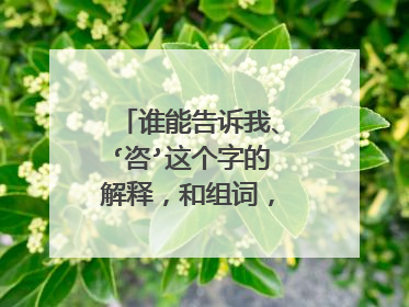 谁能告诉我、‘咨’这个字的解释,和组词,后面还有!