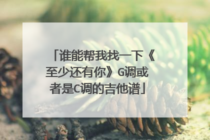 谁能帮我找一下《至少还有你》G调或者是C调的吉他谱