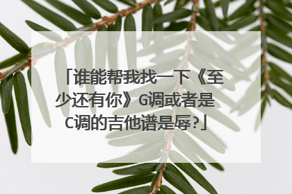 谁能帮我找一下《至少还有你》G调或者是C调的吉他谱是辱?