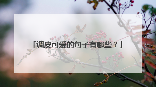 调皮可爱的句子有哪些？