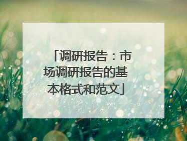 调研报告:市场调研报告的基本格式和范文