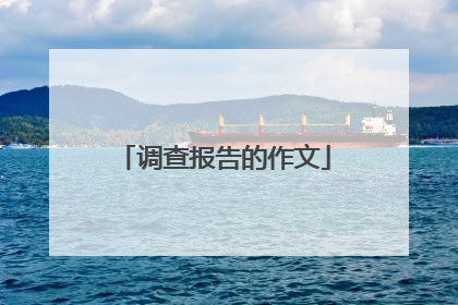 调查报告的作文