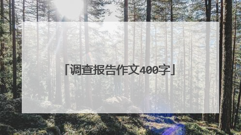 调查报告作文400字