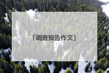 调查报告作文