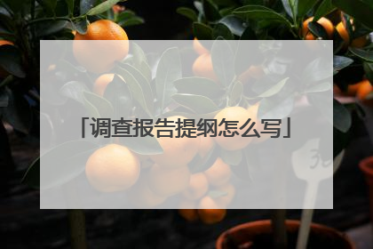 调查报告提纲怎么写