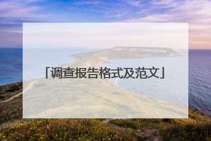 调查报告格式及范文