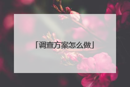 调查方案怎么做