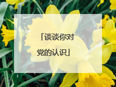 谈谈你对党的认识
