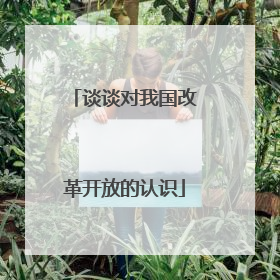 谈谈对我国改革开放的认识