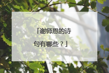 谢师恩的诗句有哪些?