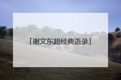 谢文东超经典语录