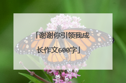 谢谢你引领我成长作文600字