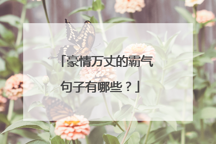 豪情万丈的霸气句子有哪些?