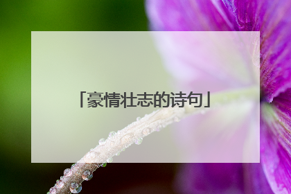 豪情壮志的诗句