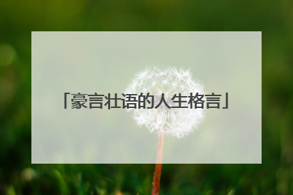 豪言壮语的人生格言