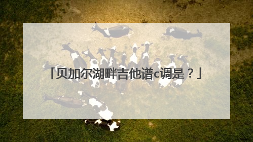 贝加尔湖畔吉他谱c调是?