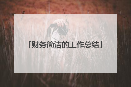 财务简洁的工作总结