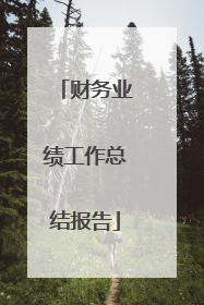 财务业绩工作总结报告