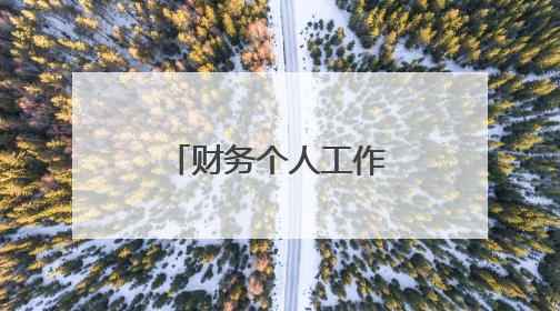 财务个人工作总结例文6篇