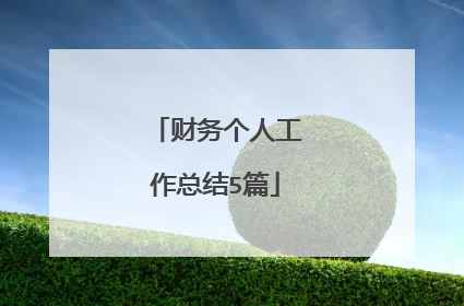 财务个人工作总结5篇