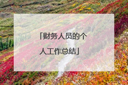 财务人员的个人工作总结