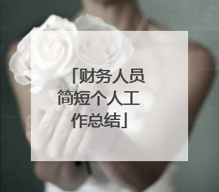 财务人员简短个人工作总结