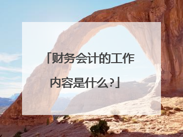 财务会计的工作内容是什么?