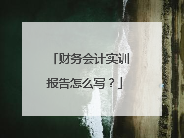 财务会计实训报告怎么写?