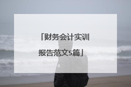 财务会计实训报告范文5篇
