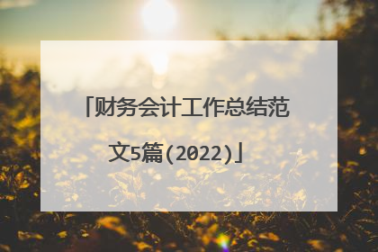 财务会计工作总结范文5篇(2022)
