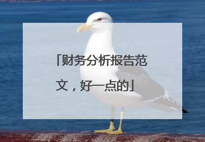 财务分析报告范文,好一点的