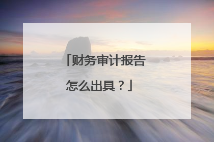 财务审计报告怎么出具?